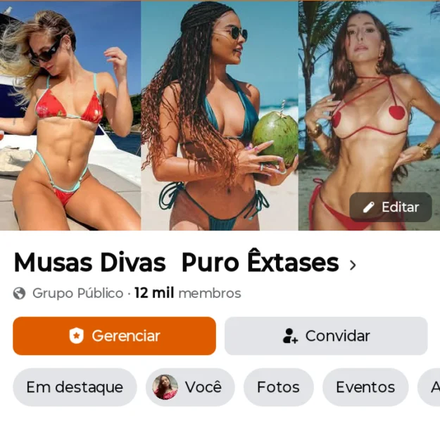 Facebook GRUPO FACEBOOK 12 Mil Membros Musas Divas Puro Êxtases com — à venda